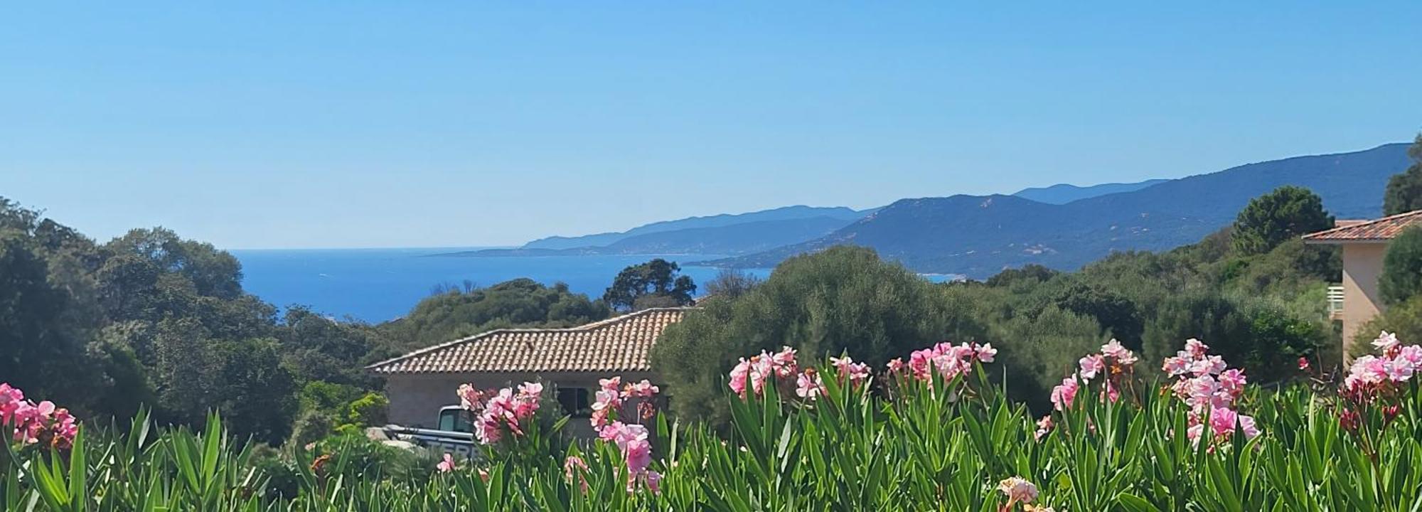 T3 Propriano Vue Mer, Neuf, Climatise Et Classe 4 Etoiles Viggianello Экстерьер фото